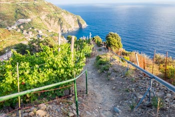 The path from Manarola to Riomaggiore, Beccara trail, Cinque Terre, Italy