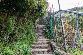 Der Aufstieg von Monterosso am Meer, Der Blaue Wanderweg, Cinque Terre, Italien