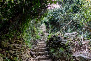 The climb from Monterosso al Mare, Blue Trail, Cinque Terre, Italy