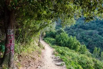 Monterosso am Meer - Vernazza, Der Blaue Wanderweg, Cinque Terre, Italien