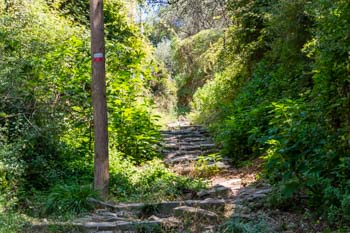 Part of the trail between Sanctuary Nostra Signora di Reggio and Vernazza, Cinque Terre, Italy