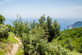 Teil des Wanderwegs zwischen Wallfahrtsort Soviore und Vernazza, Cinque Terre, Italien