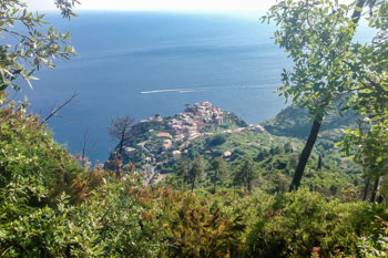 Widok Cornigli z trasy Manarola - Volastra - Corniglia, Cinque Terre, Włochy